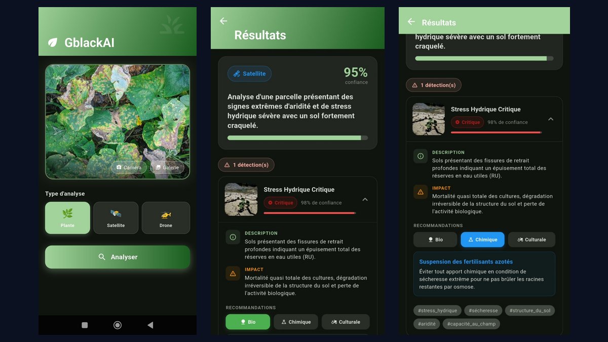 GblackAI: Agricultural AI API